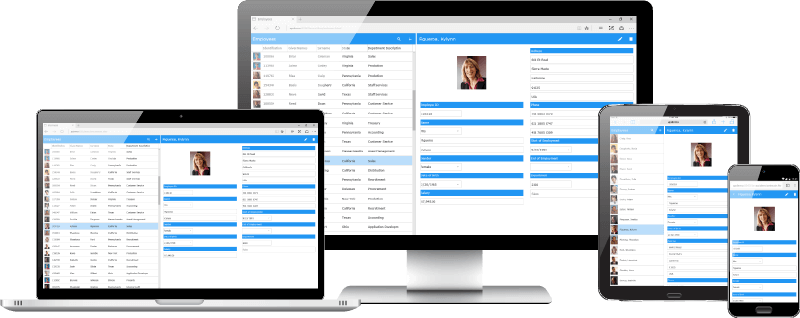 Visual Lansa Web Development Responsive