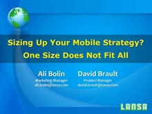 Sizing Up Your Mobile Strategy